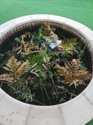 Отель Villa OMMO Tukhlya-2