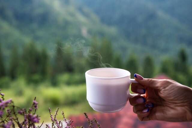 Отель Villa OMMO Tukhlya-14